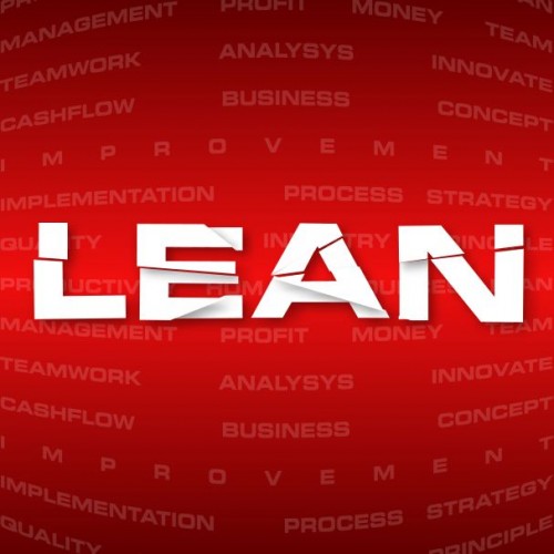 Niektórzy argumentują, że pisanie książek, nauczanie i propagowanie definicji Lean lub „Lean Management System” to podstawowy zestaw praktyk, zawierających w mniejszym lub większym stopniu: planowanie Hoshin, zarządzanie wizualne, standardową pracę lidera, ciągłe doskonalenie, wyrównanie strumienia wartości.