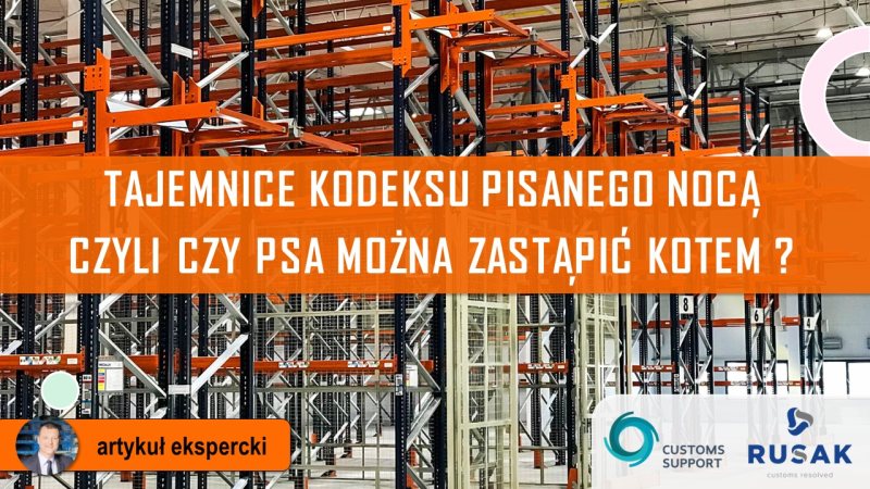 Tajemnice kodeksu pisanego nocą czyli czy psa można zastąpić kotem800px