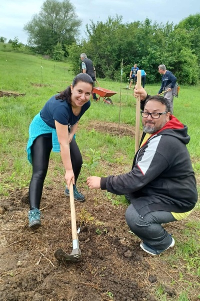 cargo partner tree planting initiatives 02