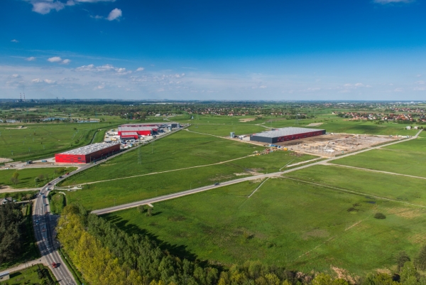 Krakowska herbatka w magazynie