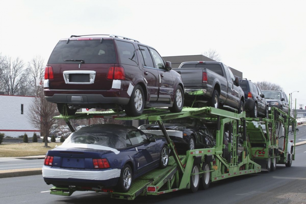 W czasie pandemii wzrósł transport zwierząt, a spadł transport aut