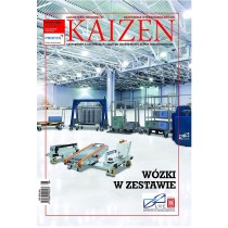 KAIZEN 3/13 E-WYDANIE (wersja elektroniczna)